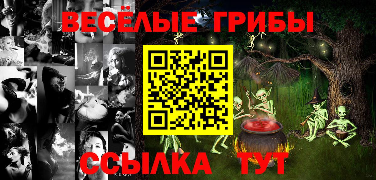 Галлюциногенные грибы GOLDEN TEACHER Всеволожск