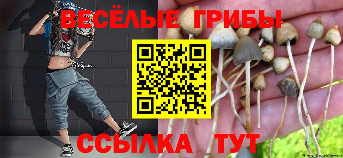 Всеволожск  Псилоцибиновые грибы мицелий  Вход с VPN  Галлюциногенные грибы прущие грибы 